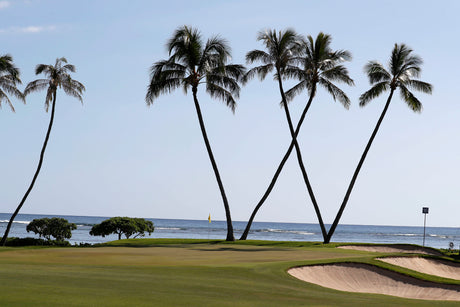 PrideSports® Replaceable Spikes Used by Winner of Sony Open