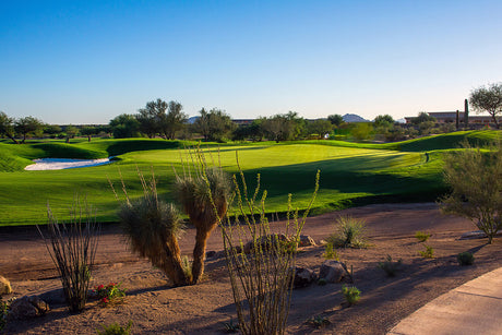 PrideSports® Replaceable Spikes Used by Winner of WM Phoenix Open and More